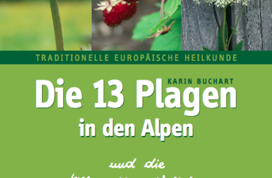 Buchart,&nbsp;APH Werken: Herbert Raffelt, Michael Brauer

