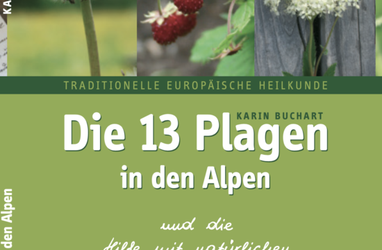Buchart,&nbsp;APH Werken: Herbert Raffelt, Michael Brauer

