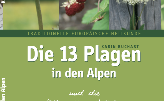 Buchart,&nbsp;APH Werken: Herbert Raffelt, Michael Brauer

