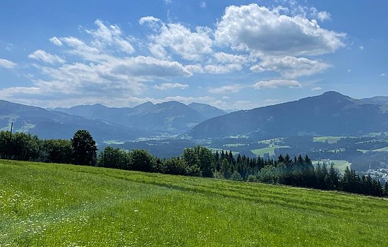 Marktschatz_Tipp der Woche_St. Johann