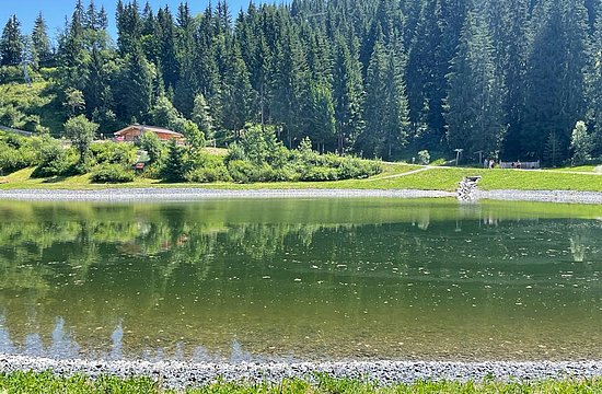 Marktschatz_Tipp der Woche_St. Johann