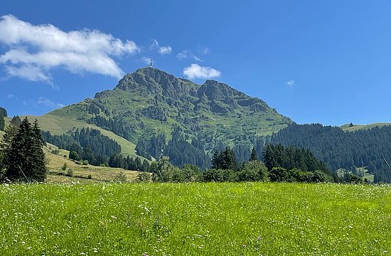 Marktschatz_Tipp der Woche_St. Johann