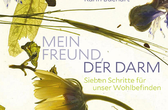 Buchart,&nbsp;APH Werken: Herbert Raffelt, Michael Brauer


