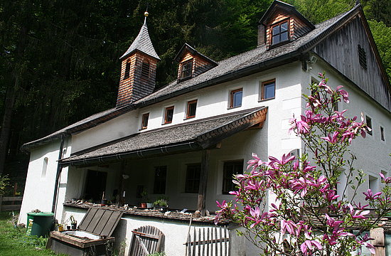 Marktschatz