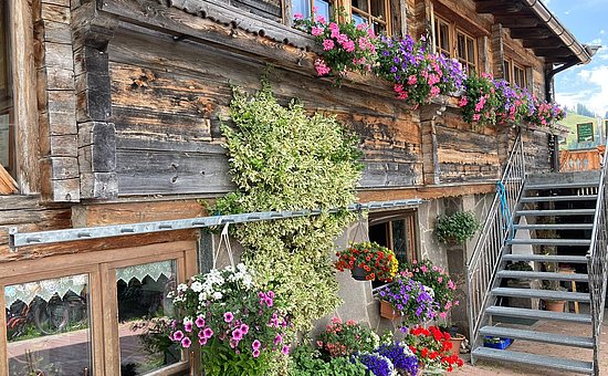 Fleckalm &amp; Marktschatz