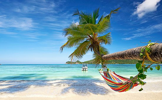 <p>Fotolia<br>AdobeStock<br>Privat<br>Fotografie Marie<br></p>