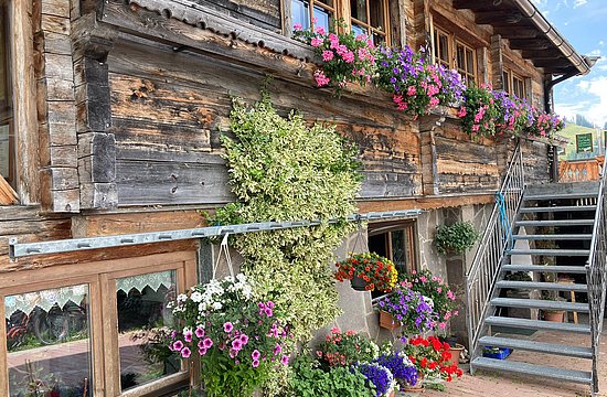 Fleckalm &amp; Marktschatz