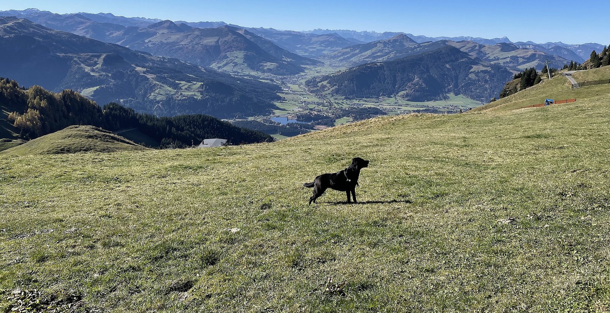 Herbst in den Kitzbüheler Alpen