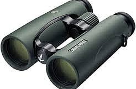 Optik SchwarzRodenstockSwarovskiOrtsmarketing St. Johann&nbsp;GloryFySilhouette